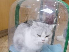 -美联众合动物医院·24h转诊中心