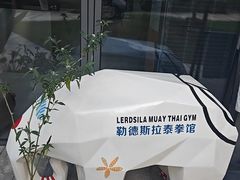 -花环泰拳·勒德斯拉泰拳馆(静安店)