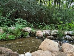 -大连植物园