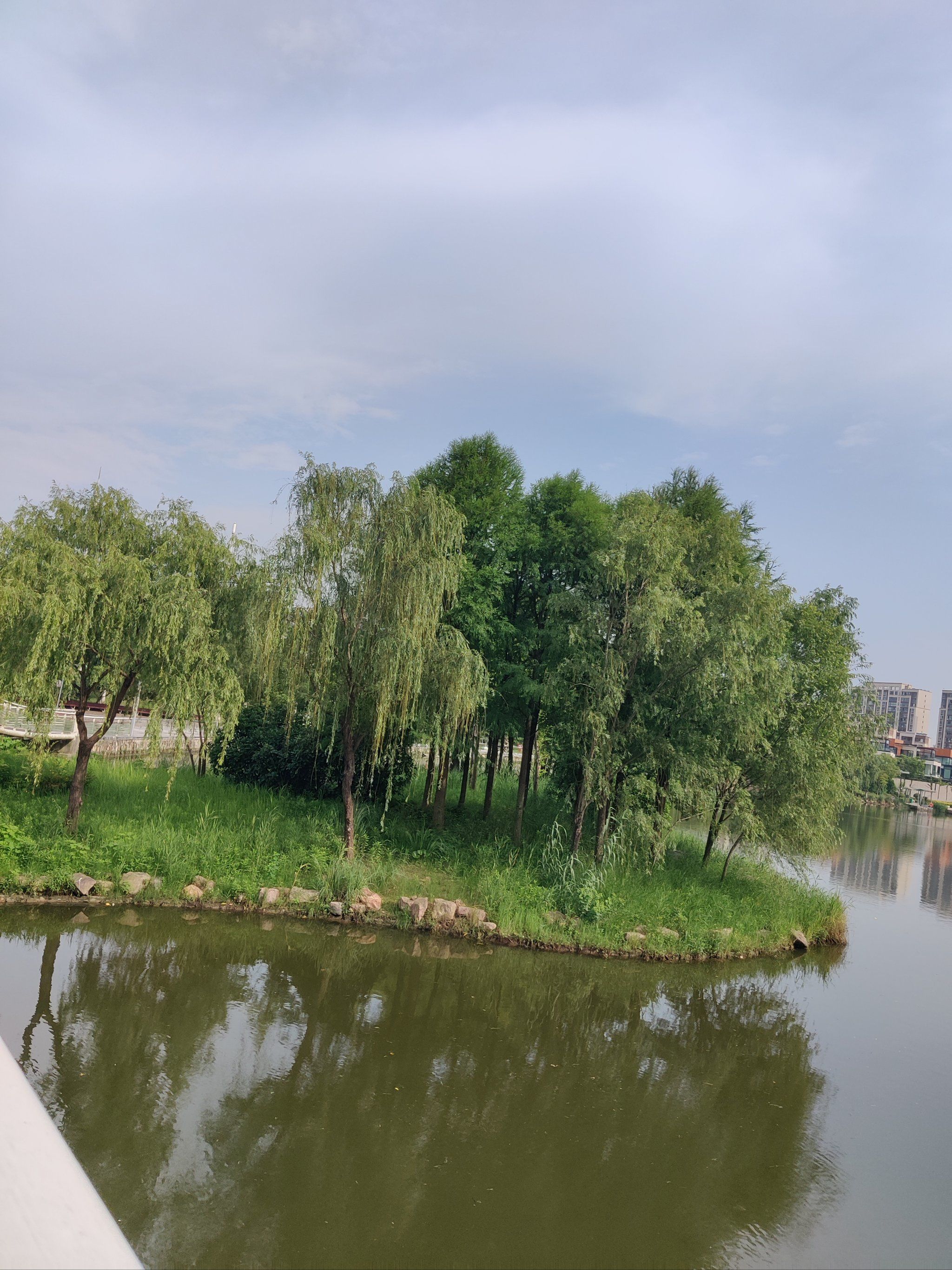 湖心小岛,虽然不大,依然是一道靓丽的风景
