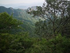 -大岭沟猕猴桃谷风景区