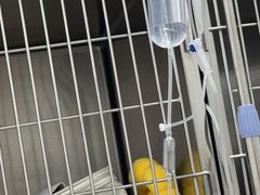 -美联众合动物医院·24h京西诊疗中心