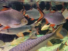 -太平洋海底世界