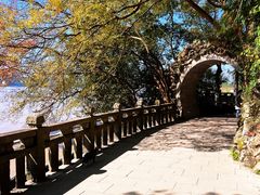 -江心屿景区