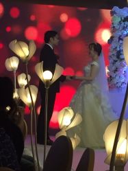 点击看大图 -红丝高端婚礼中心(旗舰店)