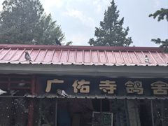 -广佑寺风景区