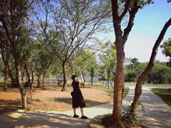 -盘龙城国家考古遗址公园