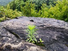 -蝶舞清江·恩施云顶景区(黄鹤峰林)