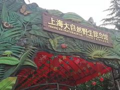 -上海大自然野生昆虫馆(东方明珠·爬宠昆虫探索中心)