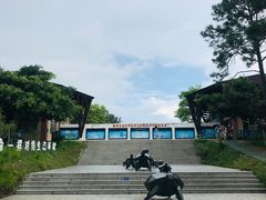 -广东惠东海龟国家级自然保护区