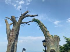 -长沙黑麋峰国家森林公园
