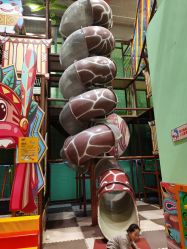 -多奇妙儿童成长乐园(句容吾悦店)