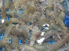 -三亚新鸿港水果一级批发市场