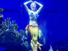 -海合安武汉极地海洋公园