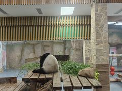 -无锡动物园·太湖欢乐园