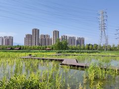 -永定河休闲森林公园