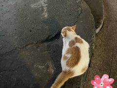 -芝麻糊世家(西华店)