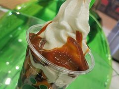 -Salud撒露欧洲冻酸奶(蓝色港湾店)