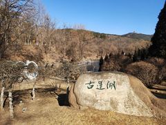 -棒棰岛宾馆景区