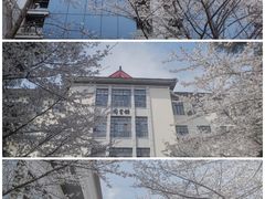 -鸡鸣寺