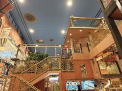 -卡通尼·Safari非洲探索乐园·生日会(金桥国际商业广场店)