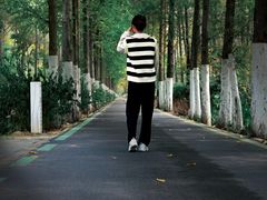 -合肥滨湖国家森林公园