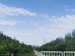 -上海长兴岛郊野公园