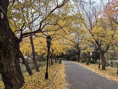 -钓鱼台国宾馆