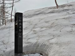 -富士山吉田線五合目