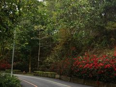 -红花湖景区