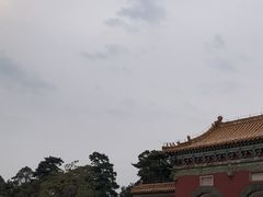 -北陵公园
