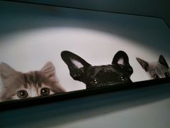 -吃饼人西餐(南开店)