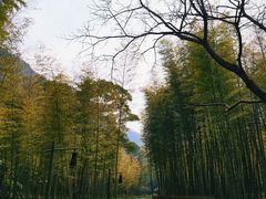 -黄公望隐居地