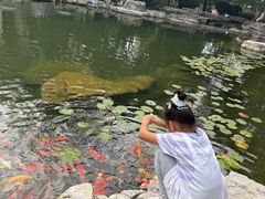 -青岛鑫江温德姆酒店