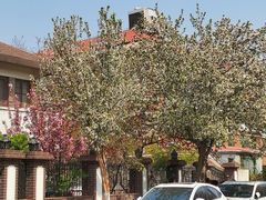 -天津五大道文化旅游区