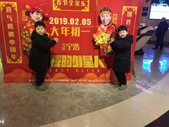 -奥斯卡升龙国际影城(RealD Cinema)