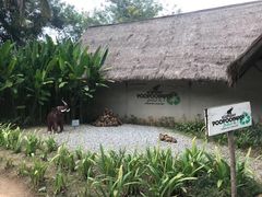 -大象粑粑造纸公园