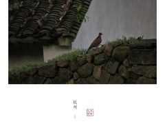 -法云安缦酒店