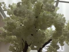 -艾薯夫妇Aysh(福田星河COCOPark店)
