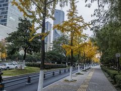 -天鹅湖体育公园