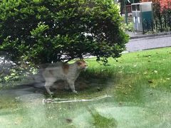 -御花园·粤菜·海鲜火锅(中山公园店)