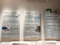 -辽宁古生物博物馆