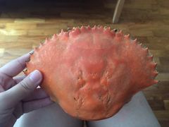 -龙海鲜螃蟹王(宏茂桥店)