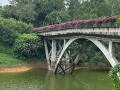 -观澜湖生态运动公社