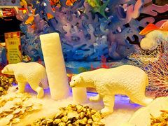 -比尔森韩式烤肉自助(绿园店)