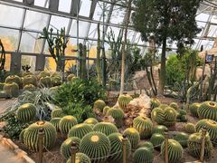 -北京植物园-展览温室