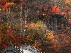 -关门山森林公园