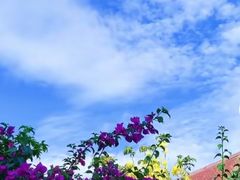 -西双版纳傣族园