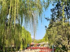 -唐城墙遗址公园