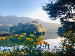 -广州市石门国家森林公园